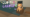Turning Cat Antics into a Playable Social Media Experience
